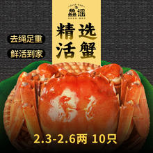 XIAN YAO 鱻谣 大闸蟹 去绳足重 2.3-2.6两 10只