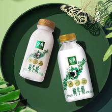 伊利金典鲜牛奶450ml*4+235ml*5瓶