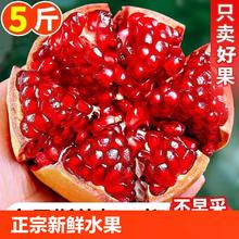 官补13.8 突尼斯软籽石榴5斤中大果