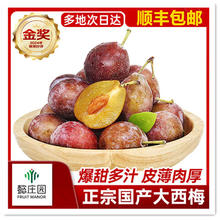 懿庄园 FRUIT MANOR 西梅 2斤