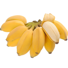 静益乐源广西小米蕉 粉蕉 新鲜香蕉水果 9斤