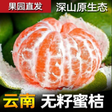 淘宝买菜 云南高山青皮无籽蜜桔（中果55-70g）5斤