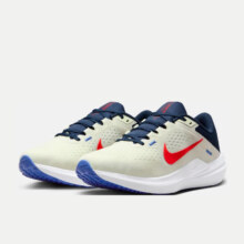 耐克（NIKE）男子公路跑步鞋 WINFLO 10 DV4022-006 42.5