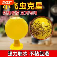 果蝇苍蝇飞虫克星强力效粘虫球纸水果店厨房神器室内蚊子诱捕虫子