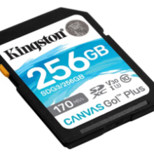 10日20点月黑风高！Kingston 金士顿 SDG3系列 SD存储卡 256GB（USH-I、V30、U3）