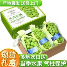 美得乐 阳光玫瑰 4斤礼盒装（单粒8-10g）