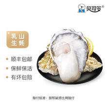 BEISILING 贝司令 鲜活乳山生蚝2xl 4斤