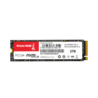 Great Wall 长城 M.2 SSD固态硬盘 2TB（PCI-E 4.0）