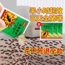 灭蟑螂药家用一窝全窝端非无毒强力灭蟑神器专用杀虫剂粉防治室内