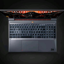 百亿补贴、PLUS会员：thunderobot雷神  911X猎荒者 15.6英寸游戏本 笔记本电脑(i5 16G 512G RTX4050满血 165Hz)