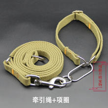建功 遛狗绳狗链子中型大型犬狗狗牵引绳金毛德牧马犬拉布拉多短牵项圈 军绿色[牵引绳+项圈] 绳