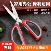 概率券：大号剪刀 不锈钢 随机升级款 1把