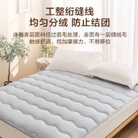 某东京造 四季云柔床褥 榻榻米床垫床褥子 可折叠易收纳 90x200cm 清雅灰