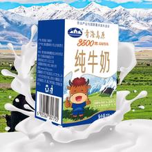 青海湖 3500米高原牧场纯牛奶200ml×10盒