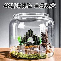悠梵萌  生态乌龟缸带水培盆 1个装