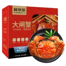 京东百亿补贴、plus会员:【活蟹】鲜京采鲜活大闸蟹 全母蟹1.8-2.1两 5对10只 去绳足重 死蟹包赔 螃蟹中秋礼盒