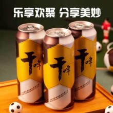 plus、燕京啤酒 9度燕京干啤500ml*12听 *2箱