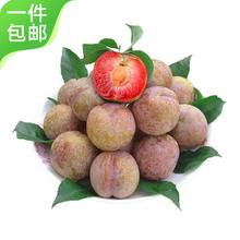 Mr.Seafood 京鲜生 新疆味帝恐龙蛋 净重2斤单果40g以上 源头直发 包邮