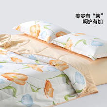 BLISS 百丽丝 茶氨酸抗菌空调被 150cm×200cm
