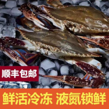 某宝买菜  舟山特产液氮活冻梭子蟹 3斤装（ 3~5两/只）
