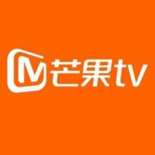 芒果TV会员VIP 12个月