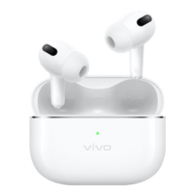 PLUS会员、20点开始：vivo TWS 4真无线降噪耳机