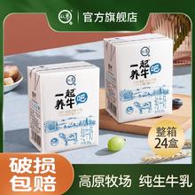 认养 一起养牛吧 纯牛奶24盒