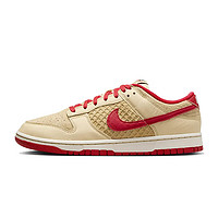 NIKE 耐克 DUNK 男款运动鞋 HJ9100-294