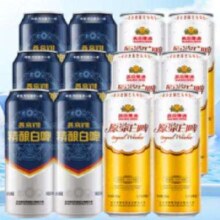 百亿补贴、PLUS会员、首单礼金：燕京啤酒 v10精酿白啤+原浆白啤 双口味组合装 500mL 12罐