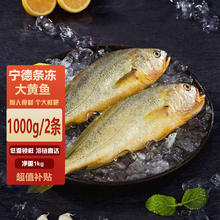 霖和 宁德新鲜冷冻大黄鱼黄花鱼非黄姑鱼深海鱼海鲜水产1000g/2条装