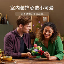 88VIP会员：LEGO 乐高 肉质植物10309儿童拼插积木玩具18+生日礼物