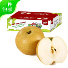 京鲜生 长城丰水梨 大果 净重4.5斤 单果250g+ 生鲜水果 源头直发 包邮