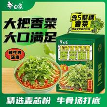 BAIXIANG 白象 香菜面泡面方便面懒人速食拌面绿色蔬菜面饼含香菜正品