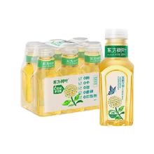 NONGFU SPRING 农夫山泉 东方树叶茉莉花茶335ml*6瓶 无糖