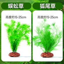 88VIP会员：yee 意牌 鱼缸活体水草籽阴性造景植物红波火山石沉木懒人水榕垂泪莫斯