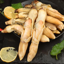 大号蛏王肉 500g*1袋