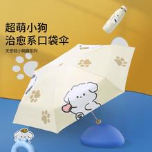 Paradise 天堂伞 萌趣小狗太阳伞防晒防紫外线遮阳雨伞女晴雨两用小巧便携五折伞女