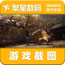 黑神话悟空 Steam正版 黑神话悟空 国区礼物激活码cdk 黑神话悟空steam豪华版好友礼物 预购奖励