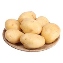家美舒达 山东滕州小土豆 山东特产 2.5kg 新鲜蔬菜 烧烤食材