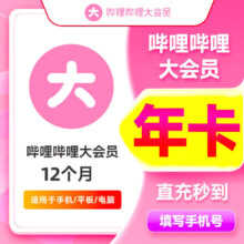 bilibili  哔哩哔哩  B站 大会员1年 12个月 一次到账