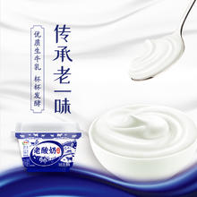 yili 伊利 老酸奶碗装风味发酵乳138g*6杯装低温酸牛奶
