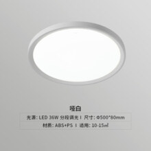 雷士（NVC） LED吸顶灯 卧室灯阳台走廊过道高显色三防一体快装封闭设计灯具 36瓦三段调光【哑白】
