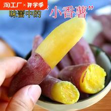 天目山小香薯5斤 9.81亓