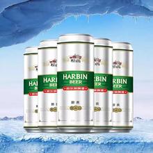 哈尔滨啤酒 醇爽 500ml*12听