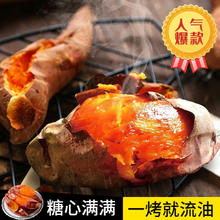 鲁禧 香甜烤烟薯 25号 中果5斤，净4.5斤单果150g+
