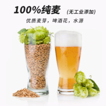 88VIP：鲸都 皮尔森精酿 2000ml
