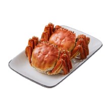 88VIP：喵满分 鲜活精品大闸蟹 8只装 全母蟹1.7-2.0两/只