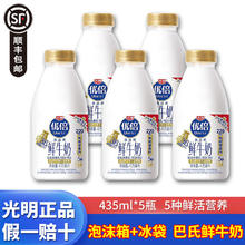 Bright 光明 优倍435ml*5瓶浓醇3.6g蛋白质