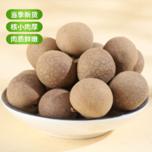 福品臣 桂圆干108g
