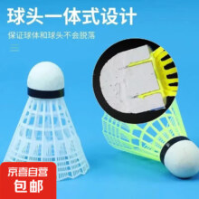 概率券：防风尼龙 羽毛球 1只装 尝鲜价